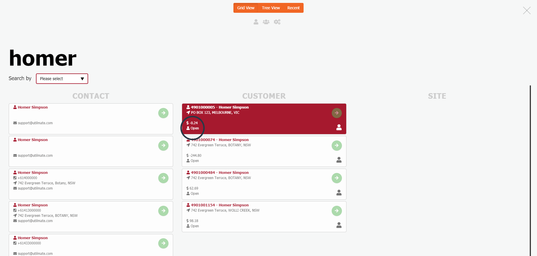 Account balance in search