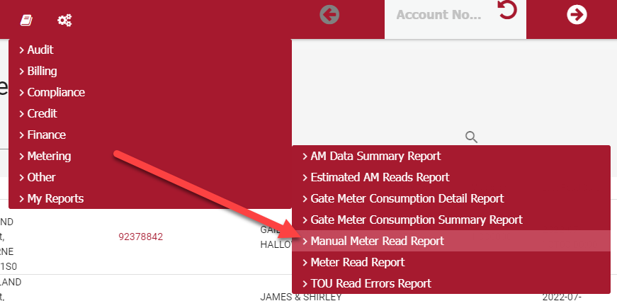 Manual Meter Reads